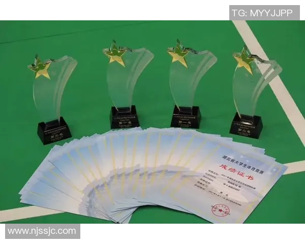 武汉羽毛球队挑战赛表现分析与状态评估全面解读